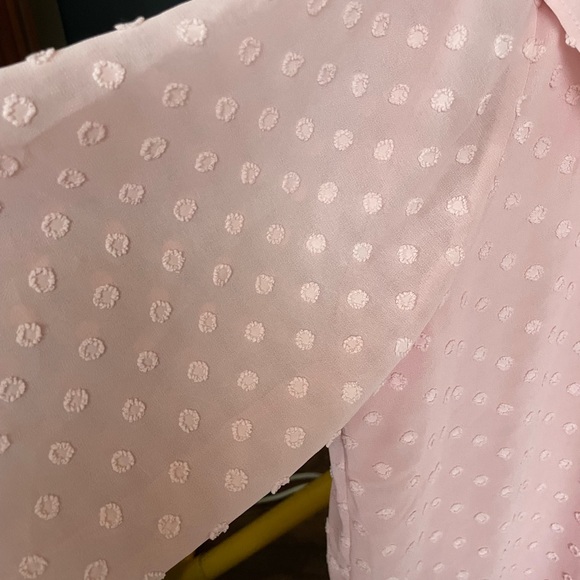 LOFT NWT Pink Ruffle Swiss Dot Long Sleeve Blouse XL - Picture 5 of 6